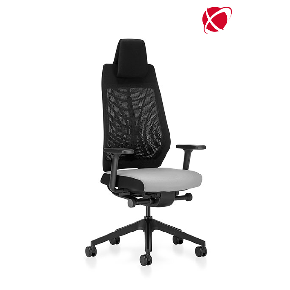 Aeris Swoppster, Gestell schwarz  Fally Ergonomische Sitz- und