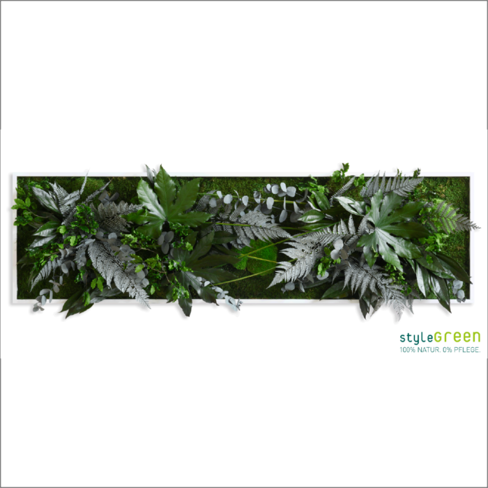 PFLANZENBILD IM DSCHUNGELDESIGN 140X40